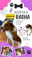 Adopta a Radha