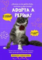 Adopta a Pepina!