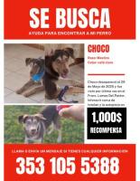 Choco