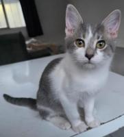 Adopta a Osito un bebé de 3 meses