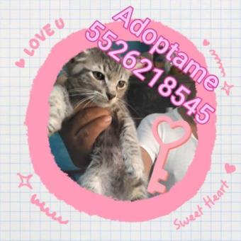 Adoptame deseo una familia