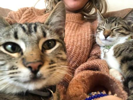 Adopta a Atún ❤️el gato más amoroso de todo el mundo