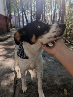 Manchitas para el corazón