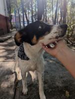 Manchitas para el corazón