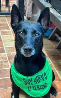 Jacinta chica y activa