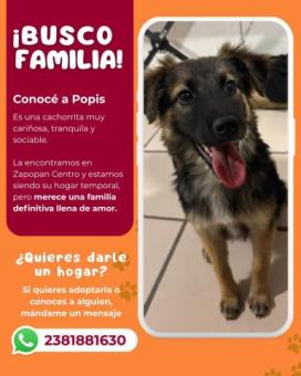 Soy Popis y busco familia
